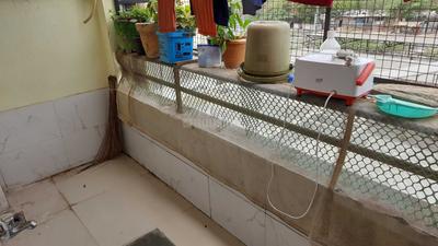 Balcony Image of 1550 Sq.ft 3 BHK Apartment / Flat for sale in Khodiyar Colony Jamnagar for Rs. 5200000