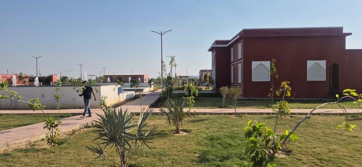 The Delight Main Image 1