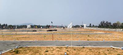 Annur Plot View 1
