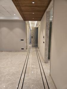 Hall Image of 3500 Sq.ft 4 BHK Builder Floor for sale in Gulmohar Park New Delhi for Rs. 130000000