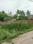 Sisupalgarh Main Image 1