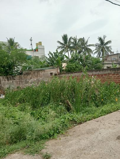 Sisupalgarh Main Image 1