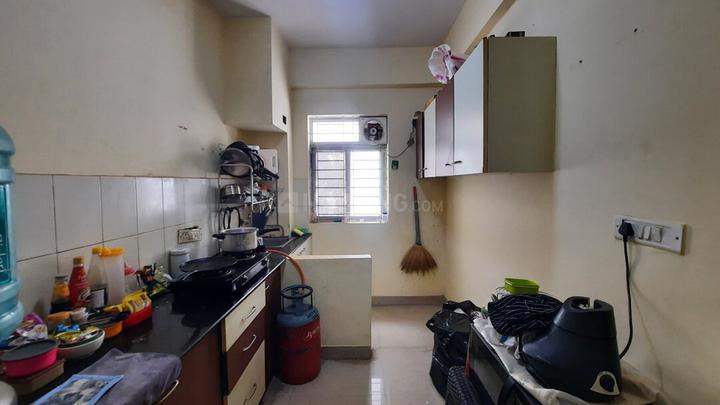 Pride Horizon Main Image 1