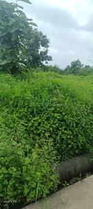 Image of 2540 Sq.ft Residential Plot / Land for sale in Karjat, Thane for Rs. 3810000