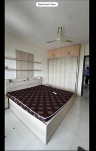 Bedroom Image of 1000 Sq.ft 2 BHK Apartment / Flat for rent in Shree Sadan 17, Vasna Ahmedabad for Rs. 27000