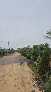 Image of 1000 Sq.ft Residential Plot / Land for sale in Banthra Sikander Pur, Lucknow for Rs. 1549998