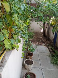 Balcony Image of 2190 Sq.ft 5 BHK Independent House for sale in Laxman Pura Ratlam for Rs. 7000000