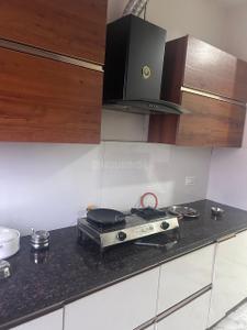 Kitchen Image of 1450 Sq.ft 2 BHK Builder Floor for rent in Sector 77 Mohali for Rs. 28000