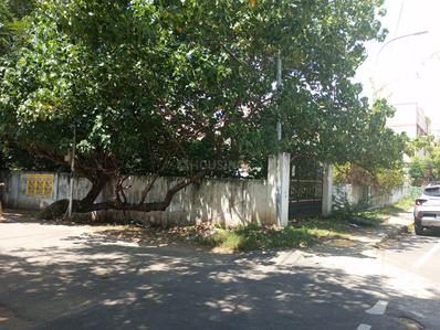 Residential Plot