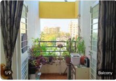 Balcony Image of 1050 Sq.ft 2 BHK Apartment / Flat for rent in Kate Vrundavan, Dapodi Pune for Rs. 33000