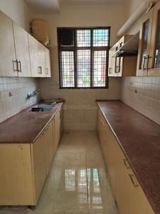 Kitchen Image of 3000 Sq.ft 3 BHK Builder Floor for sale in Ansal C1 - Block, Palam Vihar Gurgaon for Rs. 22500000