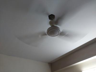 Bedroom Image of 1366 Sq.ft 3 BHK Apartment / Flat for rent in Anandpuri Patna for Rs. 36000