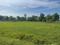 Tharun Midtown Gateway Main Image 1
