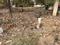 Yapral bhanu enclave Main Image 1