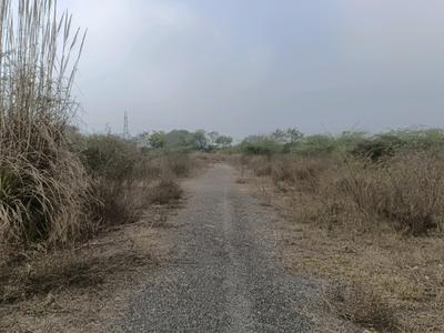 Residential Plot
