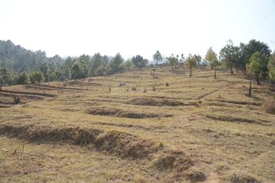 Image of 2700 Sq.ft Residential Plot / Land for sale in Haldwani, Nainital for Rs. 3500000