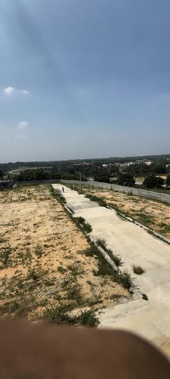 Trend DG DELIGHT  Main Image 1