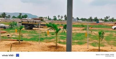 Residential Plot