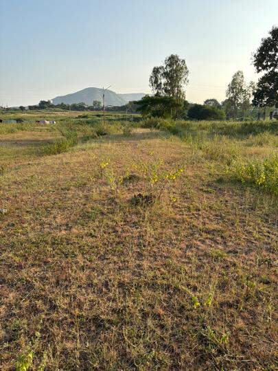 Khambale Main Image 1