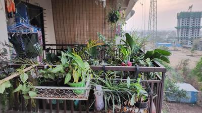 Image of 796 Sq.ft 2 BHK Apartment / Flat for rent in Swaraaj Pride, Punawale, Pune for Rs. 23000