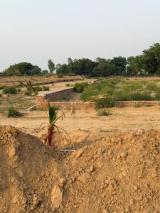 Image of 1500 Sq.ft Residential Plot / Land for sale in Amethi, Lucknow for Rs. 1198500
