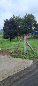 Residential Plot