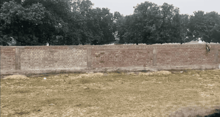 Sonepur Main Image 1