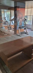 Image of 1350 Sq.ft 2 BHK Apartment / Flat for rent in Grand Riviera, Paldi, Ahmedabad for Rs. 27000