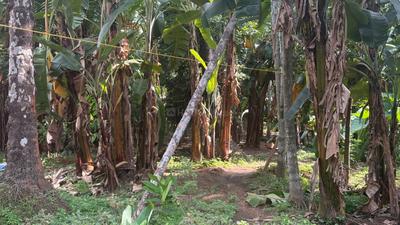 Image of 627 Sq.ft Residential Plot / Land for sale in Peringavu, Thrissur for Rs. 14700000