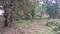 upper nehrugram Main Image 1