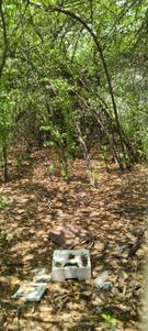 Image of 4000 Sq.ft Residential Plot / Land for sale in Neelankarai, Chennai for Rs. 55000000