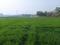 Muktapur Plot View 2