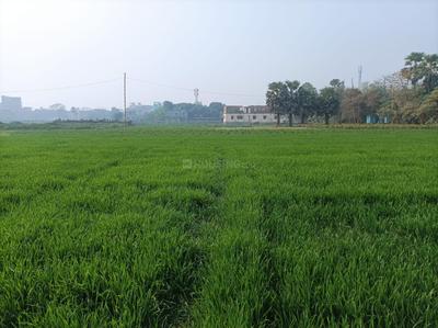 Muktapur Plot View 2