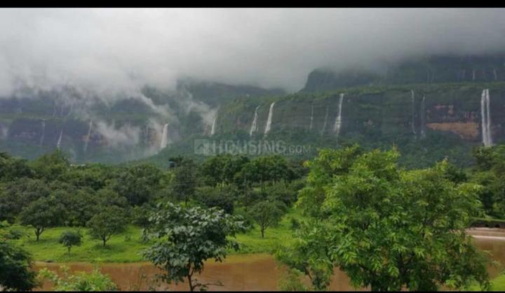 The natural view Main Image 1