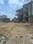 Green Field Main Image 1