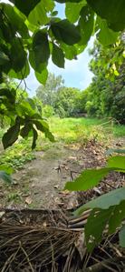 Image of 1008 Sq.ft Residential Plot / Land for sale in Sector 135, Noida for Rs. 9000000