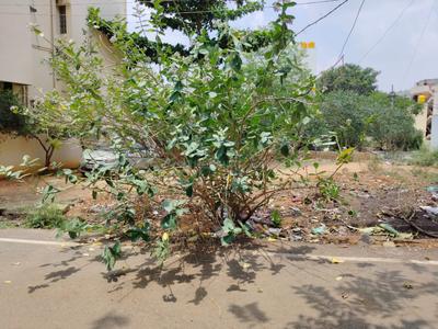 Image of 2400 Sq.ft Residential Plot / Land for sale in JP Nagar, Bengaluru for Rs. 32400000