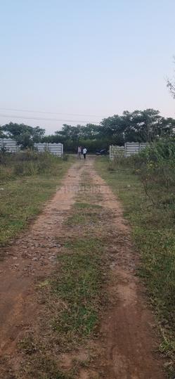 Suchirindia Ivy Greens Main Image 1