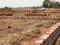 Dhaua Main Image 1