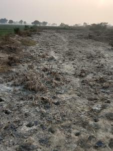 Image of 9450 Sq.ft Residential Plot / Land for sale in Sunrakh Bangar, Vrindavan for Rs. 2000000