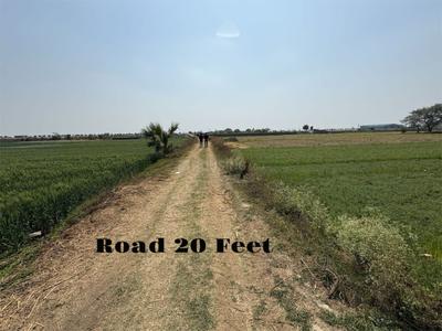Image of 1200 Sq.ft Residential Plot / Land for sale in Sadikpur, Patna for Rs. 900000