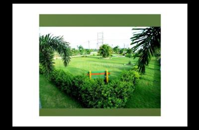 Barela Plot View 1