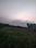 Nr Vasantkunj Main Image 1