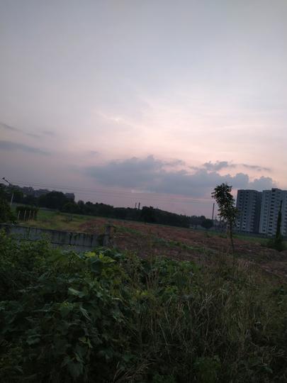 Nr Vasantkunj Main Image 1