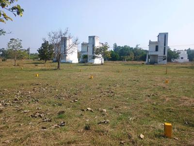 Residential Plot