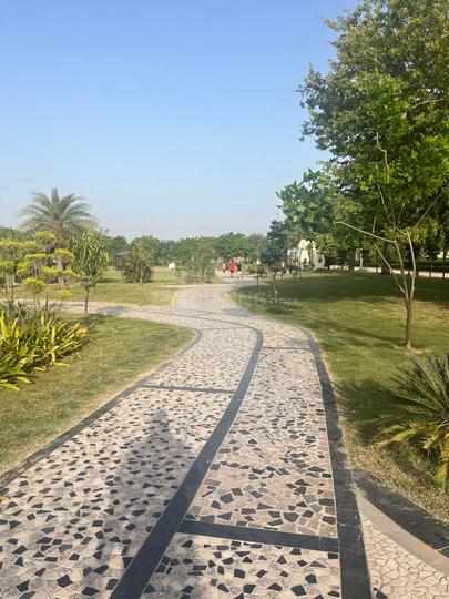 Omaxe Chandigarh Extension Plot Main Image 1