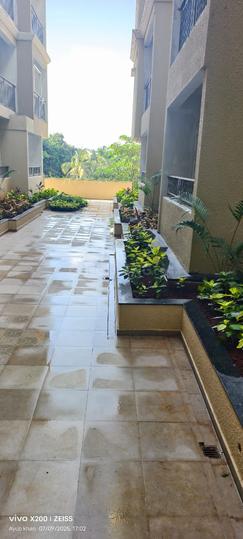 DS Max Shresta Main Image 1