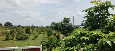 Image of 6000 Sq.ft Residential Plot / Land for sale in Gollahalli, Bengaluru for Rs. 4800000