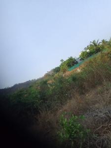 1 BHK Independent House