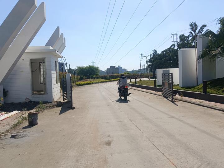 Nipania Main Image 1